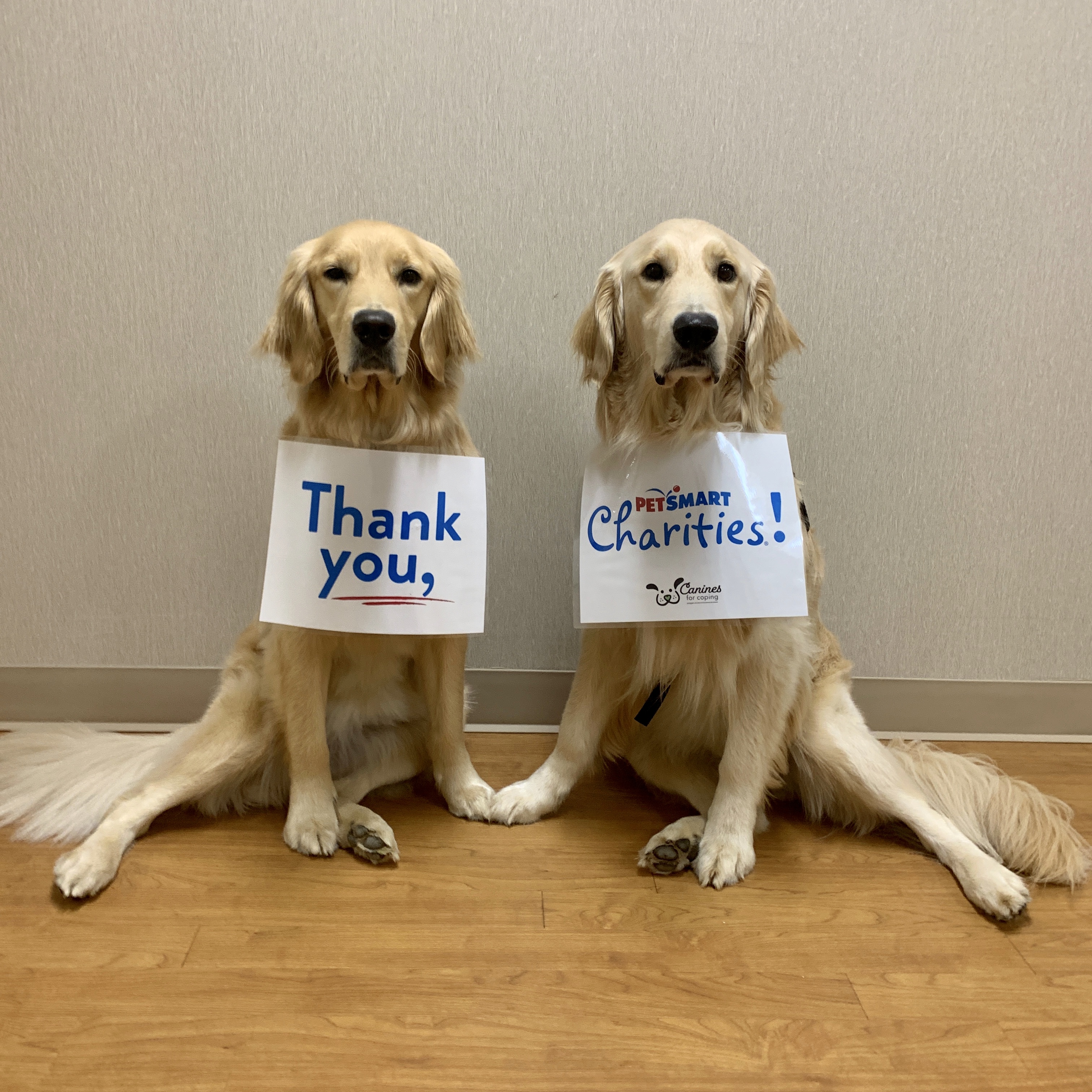 Huntsville Hospital Foundation Receives $186,000 Grant from PetSmart Charities® to Continue Facility Dog Program